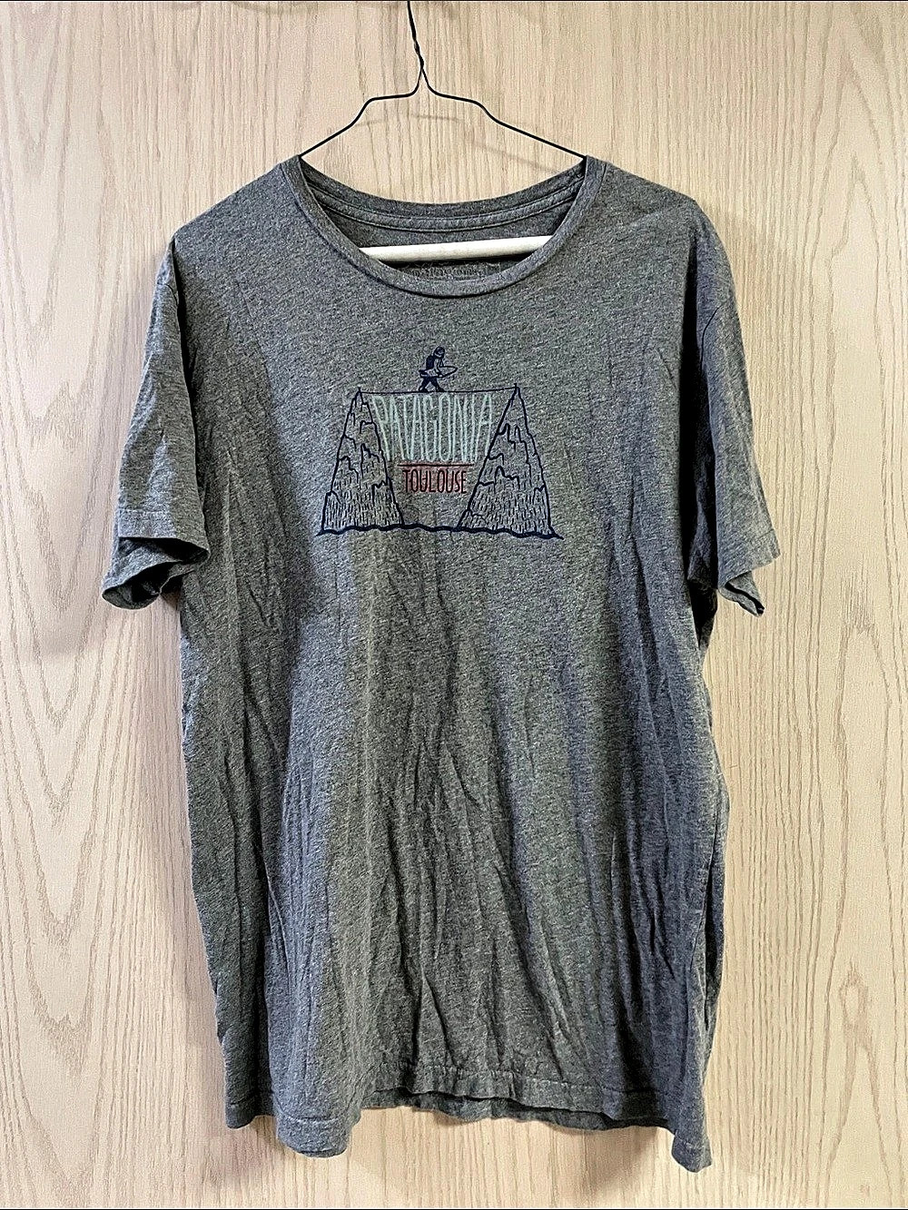 Patagonia Graphic T-Shirt Gray Size Large